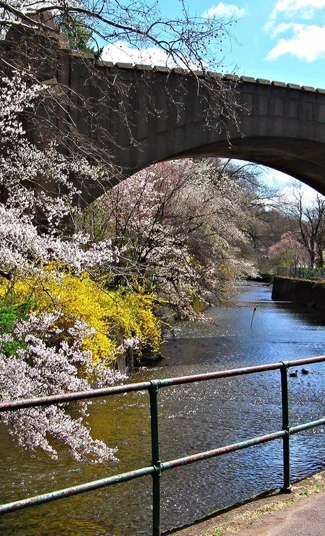 K Martial Arts Belleville